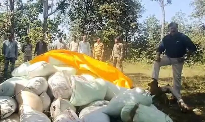 CG में फिल्मी स्टाइल छापा: जंगल से 143 बोरी अवैध धान जब्त, SDM का डायलॉग वायरल