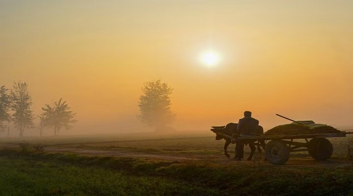 CG मौसम: ठंड में राहत, अगले तीन दिन रहेगा मौसम स्थिर, फिर बढ़ेगी सर्दी