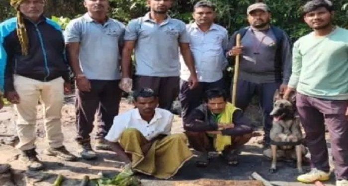 सांभर शिकार मामला: 12 शिकारी गिरफ्तार, फरार आरोपियों की तलाश तेज