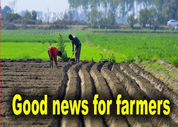 किसानों के लिए बड़ी राहत: छत्तीसगढ़ में दाल और तिलहनी फसलों की खरीद के लिए PSS योजना को मिली मंजूरी